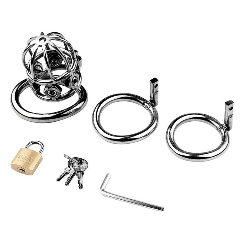 BDStyle Spike Alloy Male Chastity Cock Cage Male Chastity