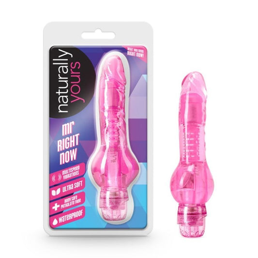 Mr Right Now Vibrating Dildo by Blush Novelties - Vibrating Dildos