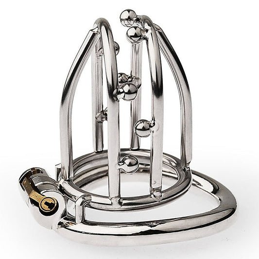 BDStyle Chastity Opening Cage With Chastity Lock Bent Ring - Male Chastity
