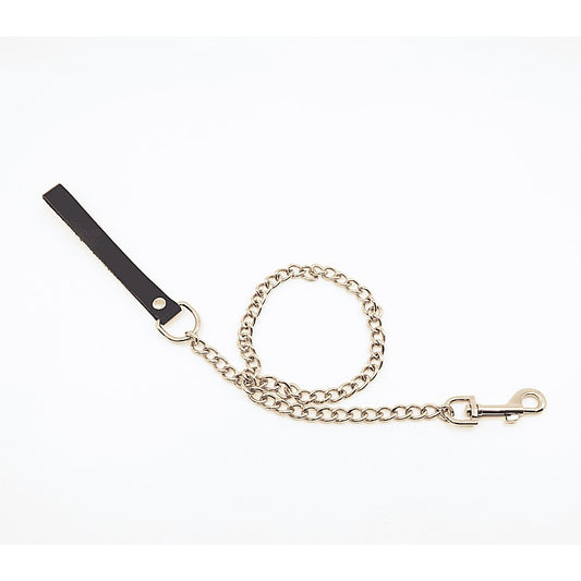 Love In Leather BDSM Chain Lead With Coloured Hardware - Collars and Leads