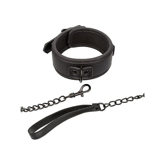 Nocturnal Collection Fetish Collar & Leash