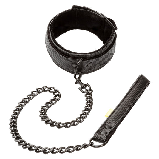 California Exotics Boundless Bondage Collar and Leash - Collars and Leads