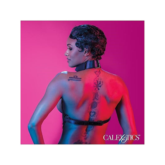 Euphoria Collection Multi Chain Fetish Collar Harness