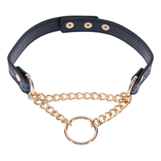 Sportsheets Sex & Mischief Cougar Day Bondage Collar Navy Blue / Gold - Collars and Leads