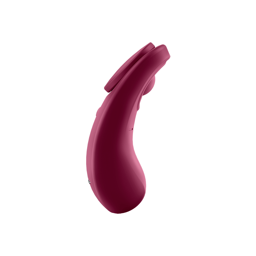Satisfyer Sexy Secret App Connect Remote Control Panty Vibrator Remote Control Vibrators