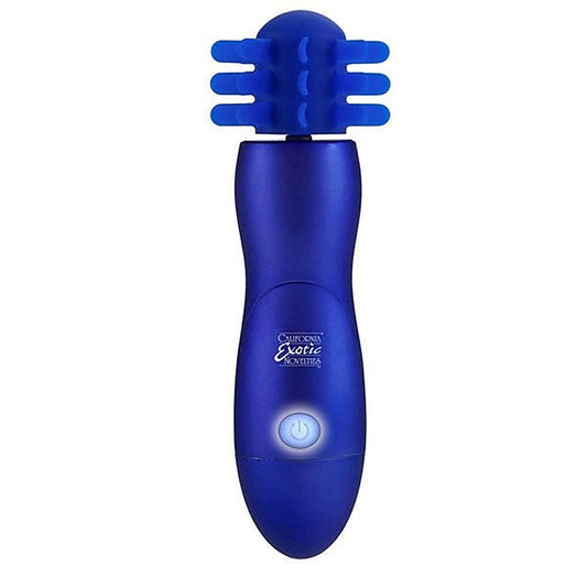 CalExotics Body & Soul Captivation Clitoral Vibrator - Clit Ticklers and Pulsators