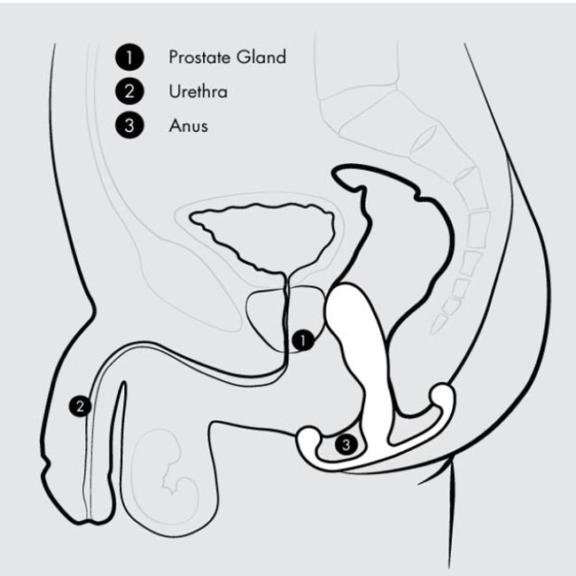 Aneros Progasm Classic Large Prostate Massager Prostate Toys