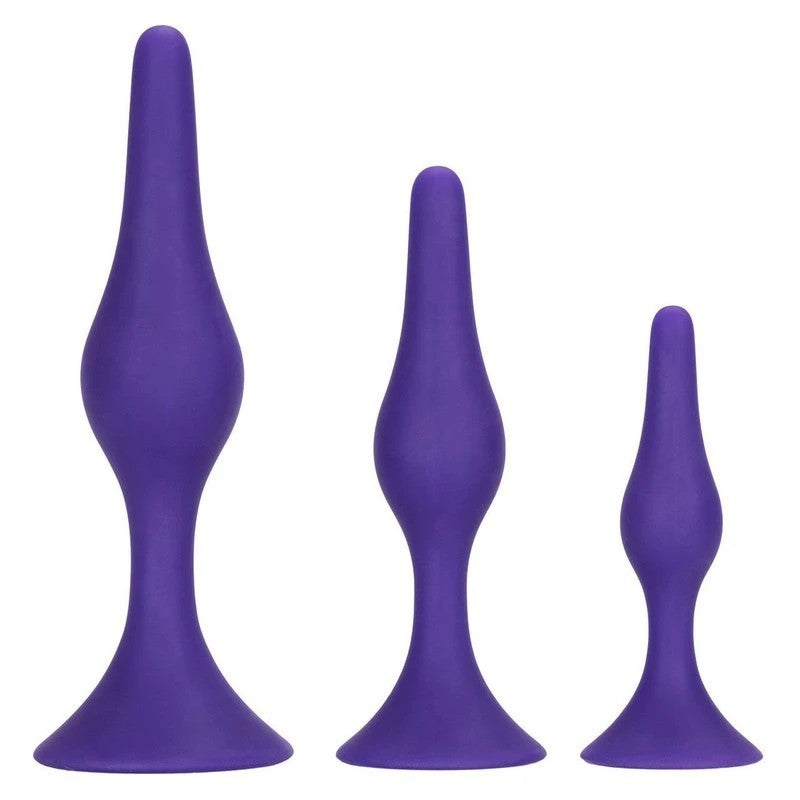 Booty Call Booty Silicone Anal Trainer Kit Purple Butt Plugs