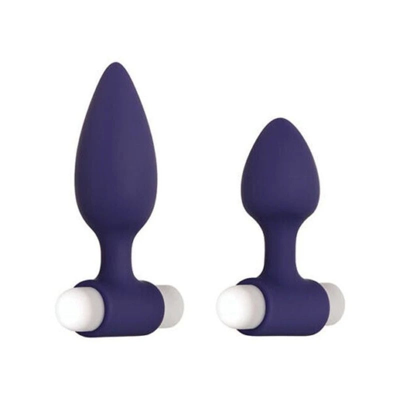 Evolved Dynamic Duo Anal Vibrators