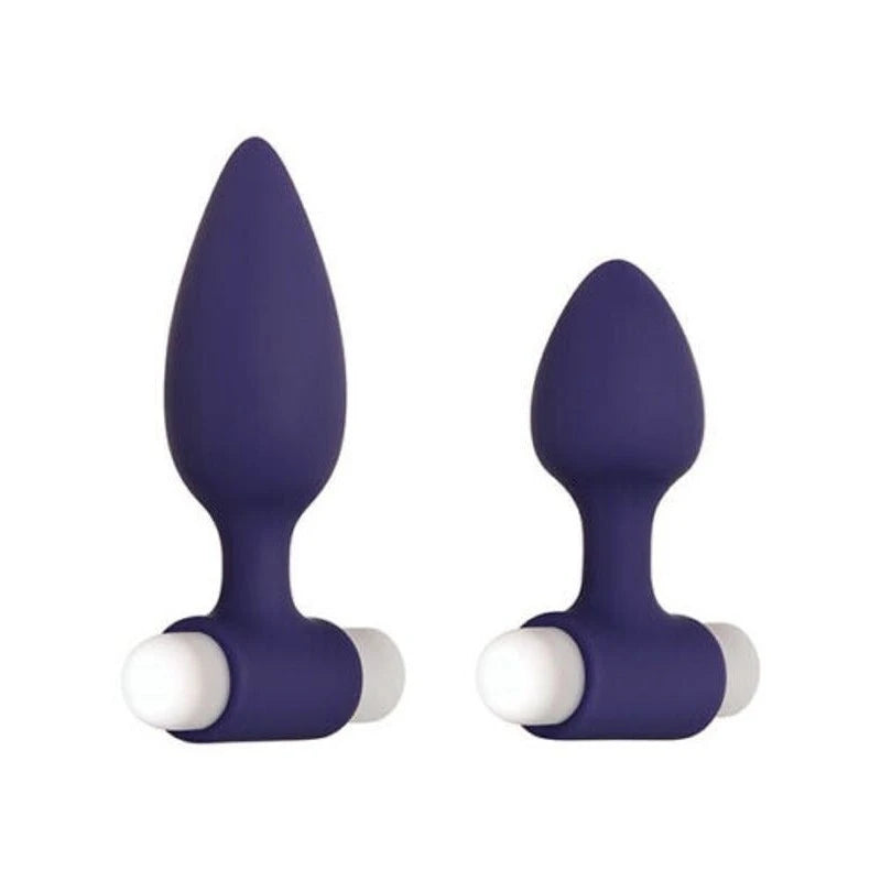 Evolved Dynamic Duo Anal Vibrators
