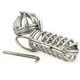 Cock and Ball Prison Male Chastity