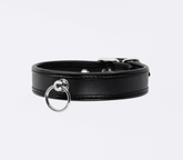 Berlin Baby Thin Padded Faux Leather Bondage Collar Black Collars and Leads