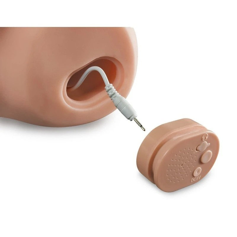 Pipedream Male Dirty Talk Interactive Fuck My Cock Stroker Realistic Butts And Vaginas