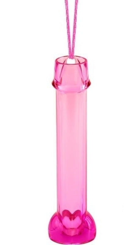 Pipedream Bachelorette Party Favors Test Tube Necklace Bachelorette and Bucks