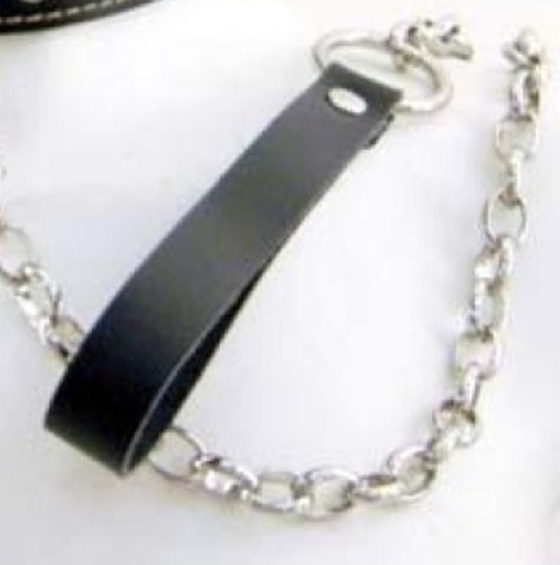 BDStyle Evil Bondage - Spiked Leather Collar with Lead Collars and Leads