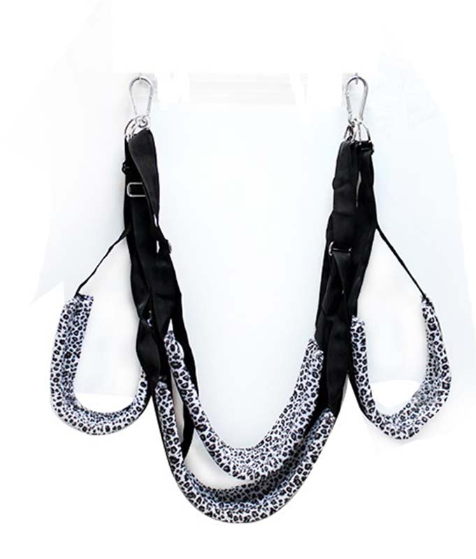 Fantasy Love Leopard Swing Sex Swings And Slings