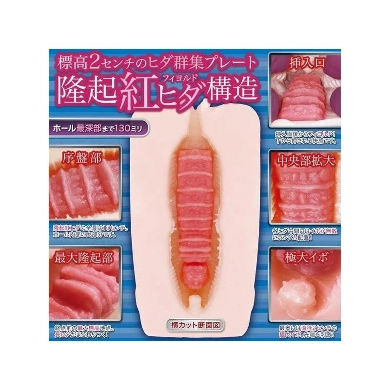 EXE Two-Layered Japanese Male Stimulator - Intense Pleasure Awaits Masturbators and Strokers