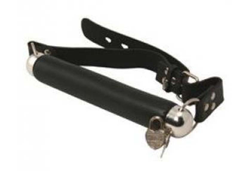 Fetish Fantasy Series BDSM Play Bit Gag Bondage Gags and Bits
