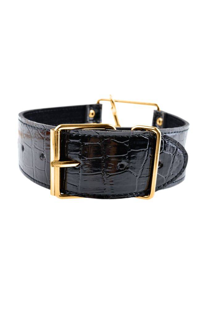 Fetish Fantasy Gold Bondage Collar and Leash Set Collars and Leads