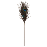 Scala Taboom Dona Peacock Bondage Tickler