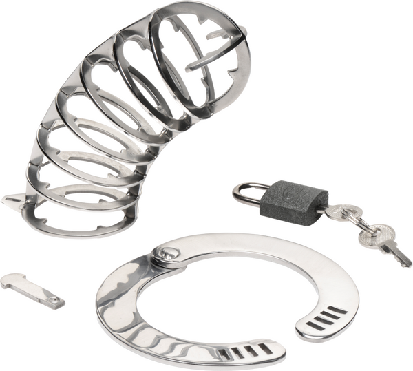 Master Series Stainless Steel Spiked Mens Chastity Cage Male Chastity