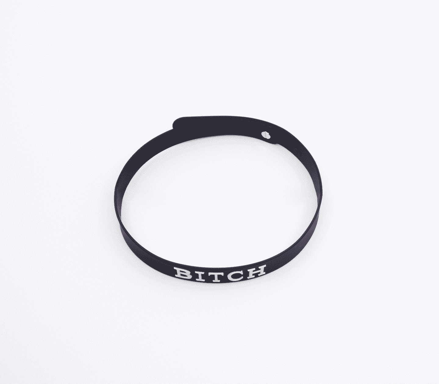 Love In Leather Fetish Play Silicone BITCH Collar Collars and Leads