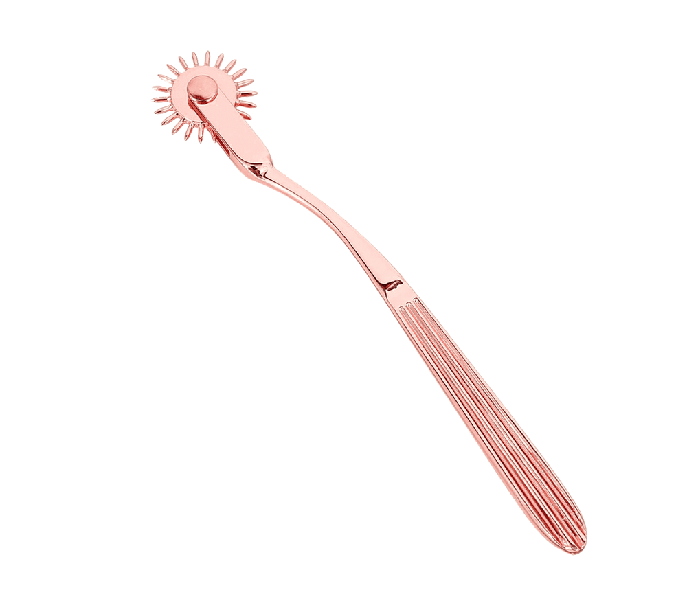 Love In Leather Bondage Play Wartenberg Wheel Dental and Clinical