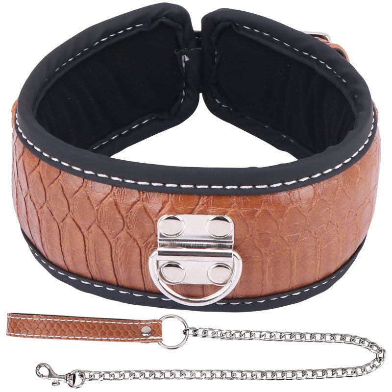 Colorful BDSM Collar With Lead Brwon Back Steel Sex Toys