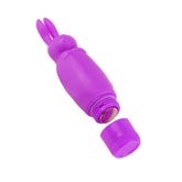 Pipedream Neon Lil Rabbit Waterproof Massager Pussy And Clit Toys