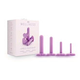 Blush Novelties Wellness Vaginal Dilators Set of 4 Sizes Purple Pussy And Clit Toys