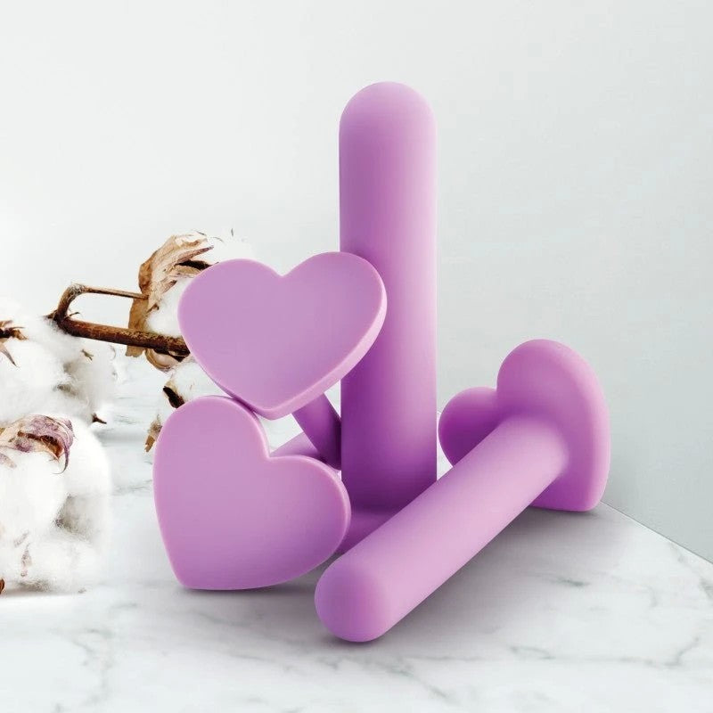 Blush Novelties Wellness Vaginal Dilators Set of 4 Sizes Purple Pussy And Clit Toys