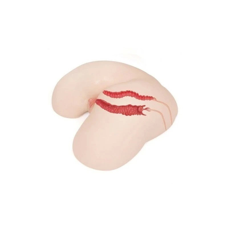 Kokos Maria Onahole 3 Ultra Realistic Male Masturbator Realistic Butts And Vaginas