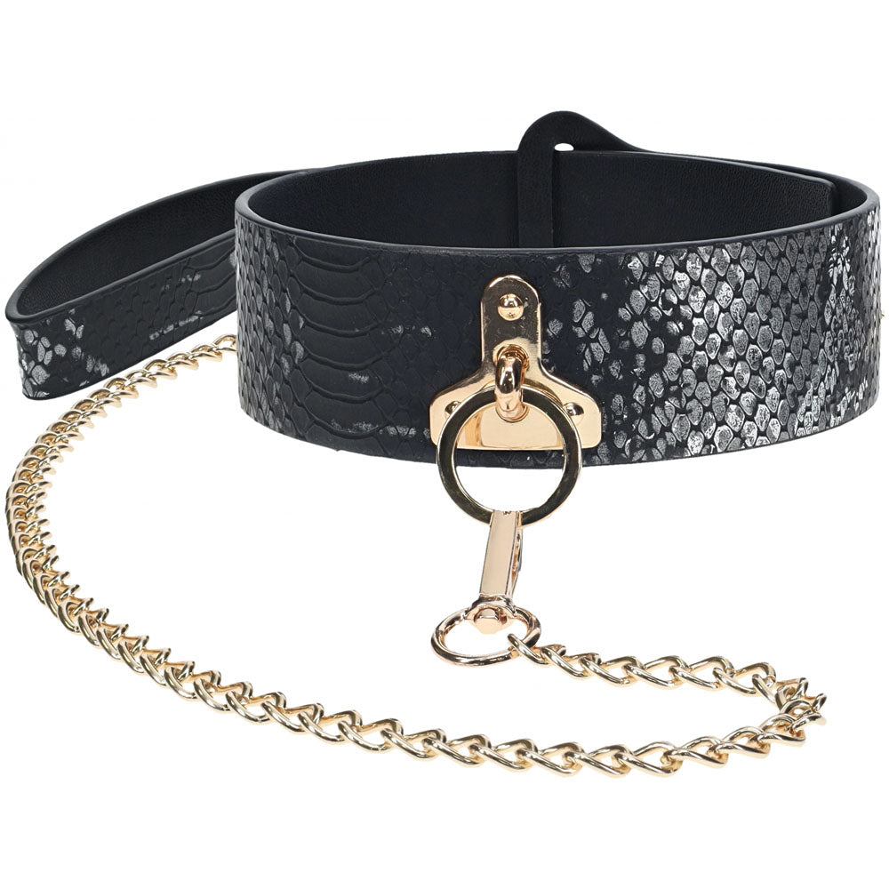 Premium Leather BDSM Collar & Leash - Iridescent Hardware Bondage Kits