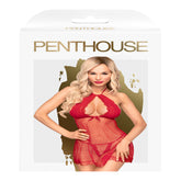 Penthouse Seductive Lace & Mesh 2-Piece Babydoll Set Babydolls and Chemises