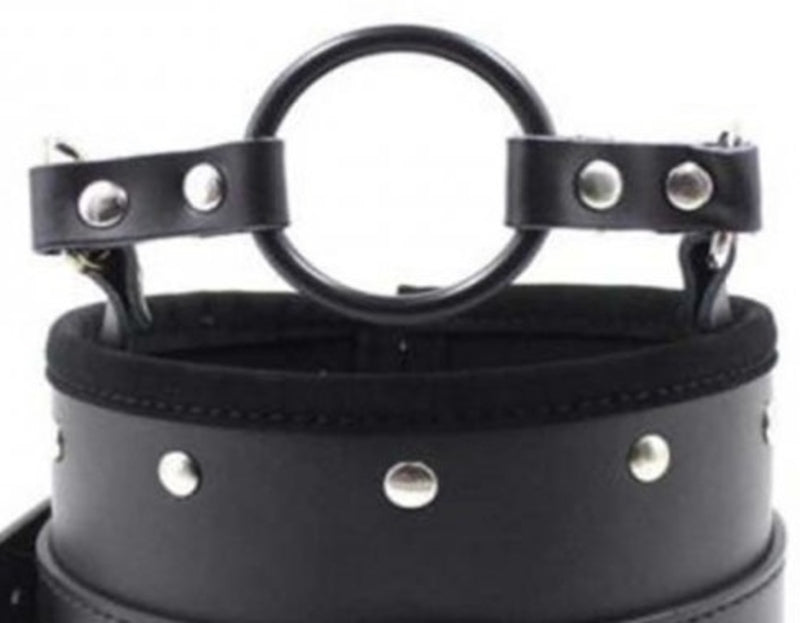 Posture Collar & O Ring Gag Light Collars and Leads