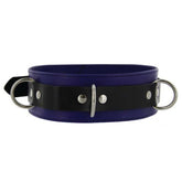 Purple Pleasures BDSM Collar with Studs O-Rings Collars and Leads