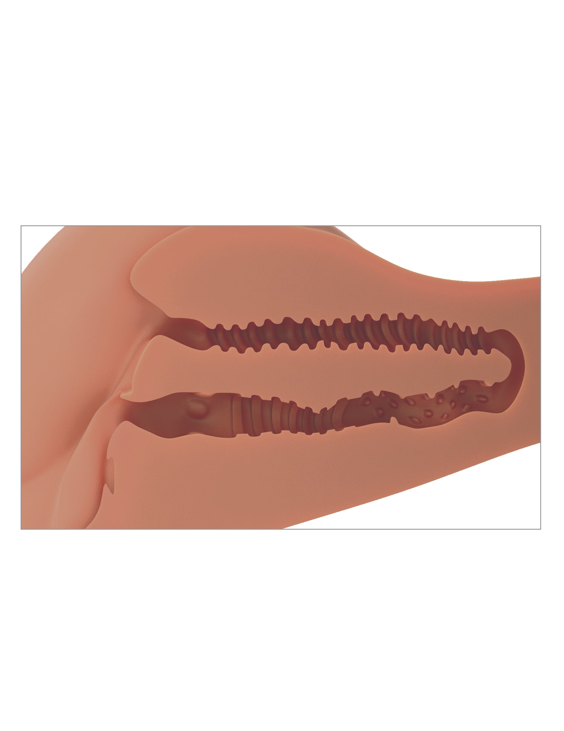 PDX Plus 360 Banger Realistic Mens Masturbator Realistic Butts And Vaginas