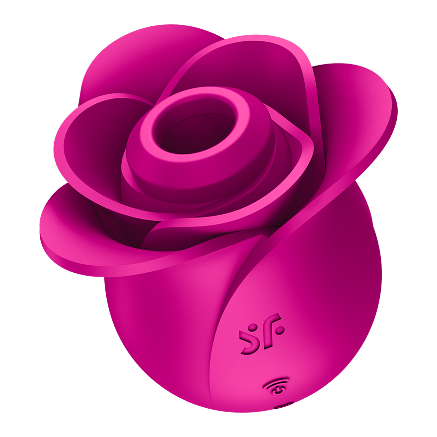 Satisfyer Pro 2 Modern Blossom Silicone Clitoral Massager Clit Ticklers and Pulsators