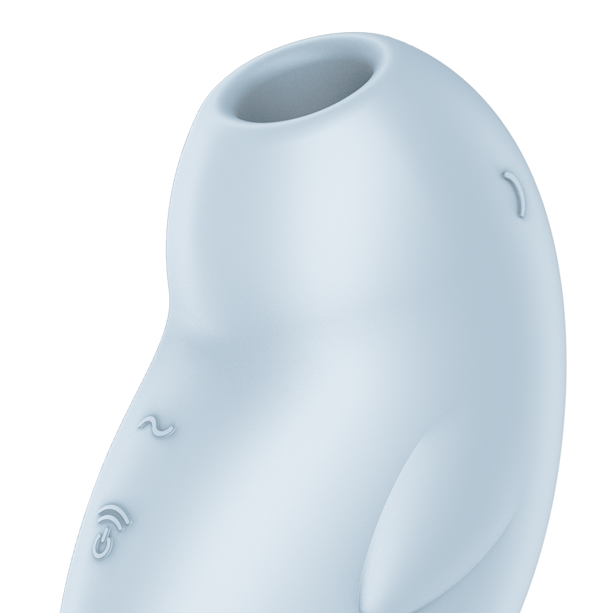 Satisfyer Seal You Soon Air Pulse Clitoral Massager Clit Ticklers and Pulsators