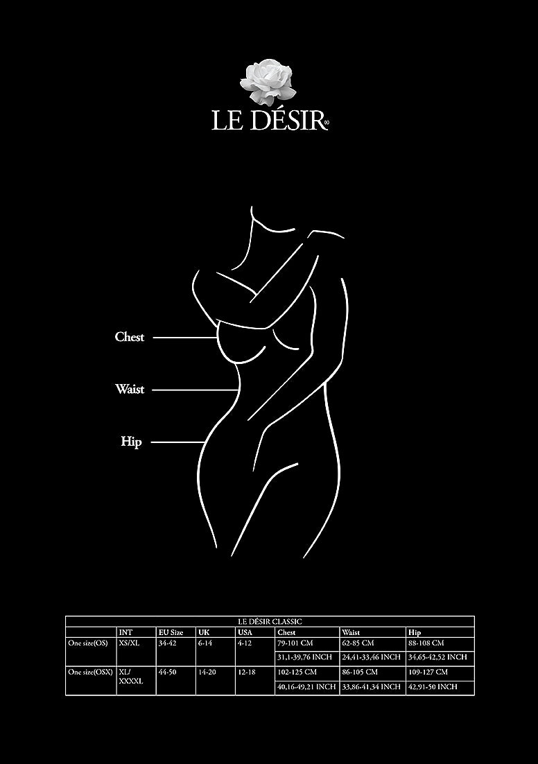 Le Desir Lace Long Sleeved Sexy Bodystocking Black Body Stockings