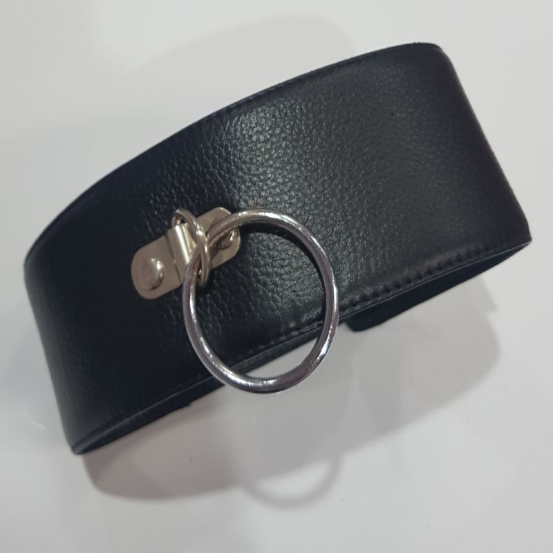 Slave Control Collar with O-Ring Collars and Leads