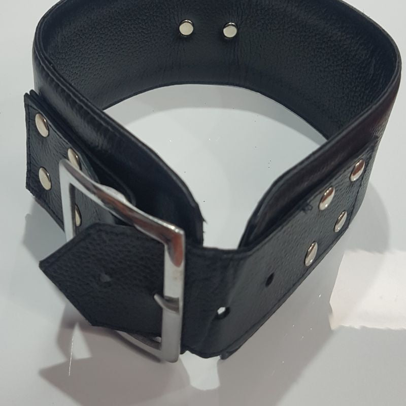 Slave Control Collar with O-Ring Collars and Leads