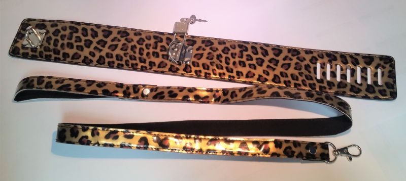 Wild Leopard Collar and Leash Collars and Leads