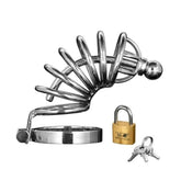 Asylum 6 Ring Locking Chastity Cage