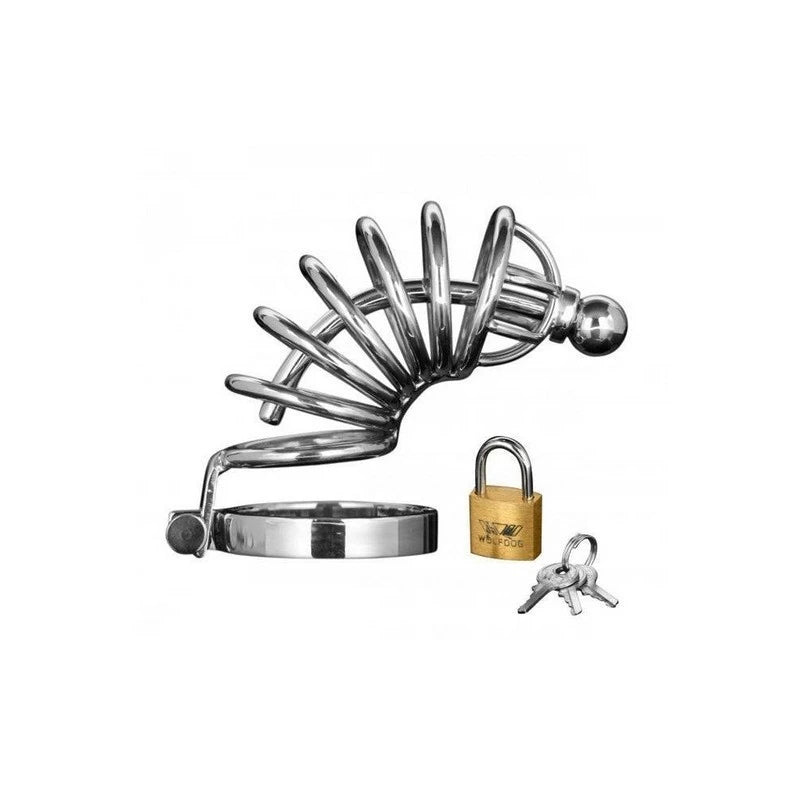 Asylum 6 Ring Locking Chastity Cage Male Chastity