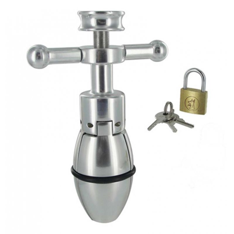 Ultimate Anal Lock Sex Toy Photo