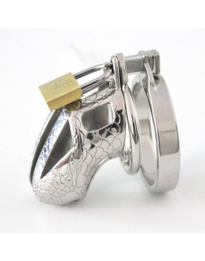 cock chastity cage spiked ring