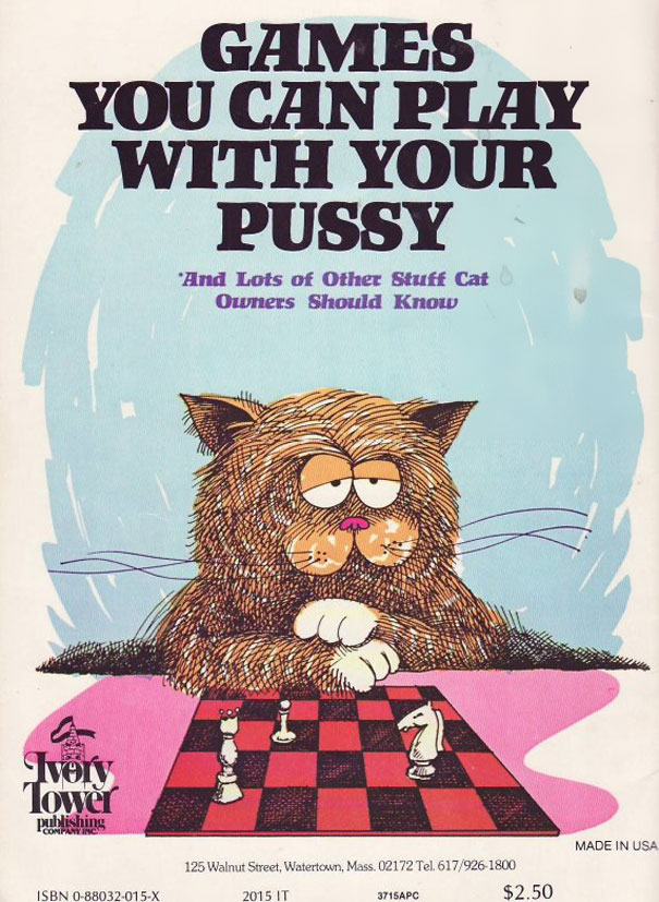Games you Can Play With Your Pussy