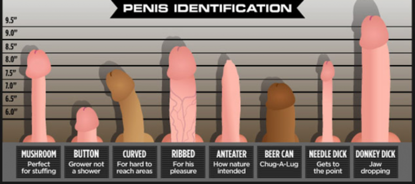 Penis Types