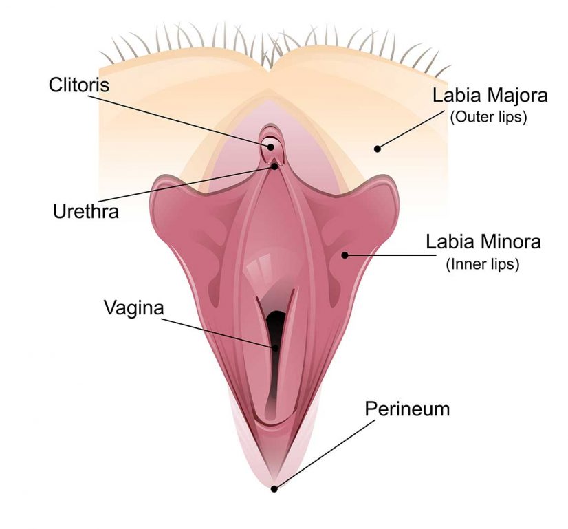 Urethral Sounds for Women